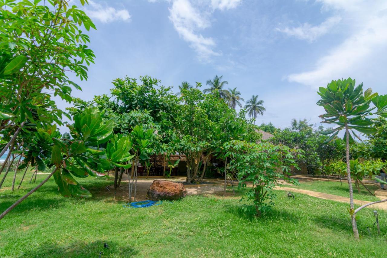 Blue Waters Hotel Arugam Bay Exterior foto
